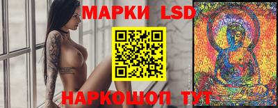 гидропоника Пенза
