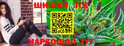 гидропоника Пенза