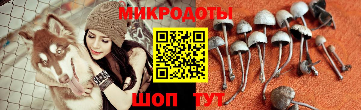 Псилоцибиновые грибы Psilocybe  Вход с VPN  Солнечногорск 