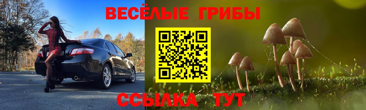 Псилоцибиновые грибы Psilocybine cubensis Солнечногорск
